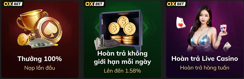 Dưới đây là một số thông tin thú vị về Sen88 - Sen88