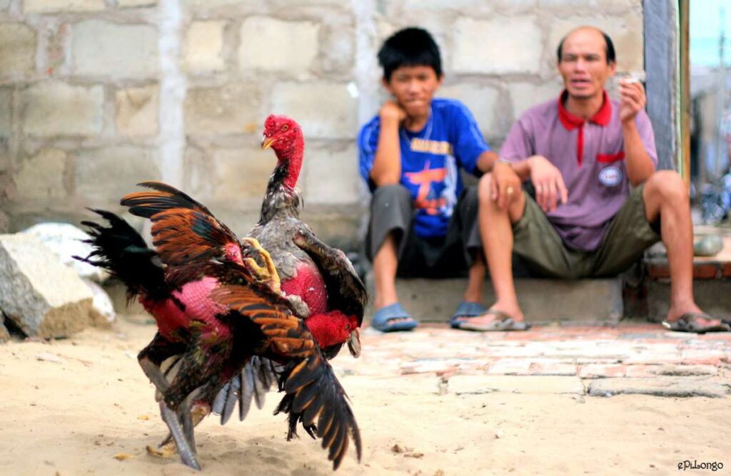Me88 hiện có văn phòng nào tại Việt Nam không? - Me88