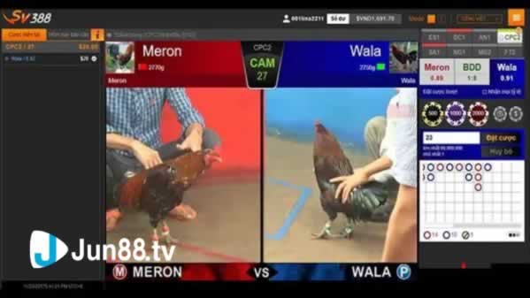 Pg88 là một trang web chơi game hợp pháp - Pg88