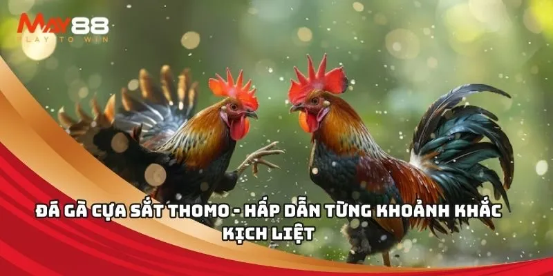 Giao diện của 11Vn rất tinh tế và hiện đại - 11Vn