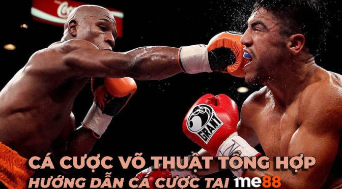 Xin giới thiệu 68Win Fun, một trang web đá gà trực tuyến - 68Win