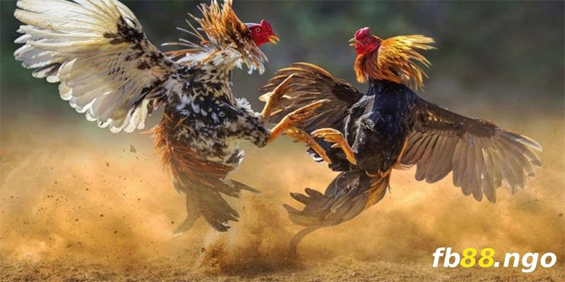 Trải nghiệm thực tế tại chỗ Mu8 - Mu8