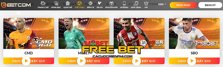 Tìm hiểu thêm về thương hiệu Bet66 - Bet66