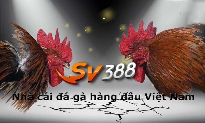 Công ty trò chơi thể thao K89bet - K89bet