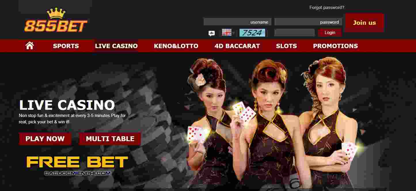 Từ góc nhìn của Nhóm vận động hành lang trò chơi Betvip - Betvip