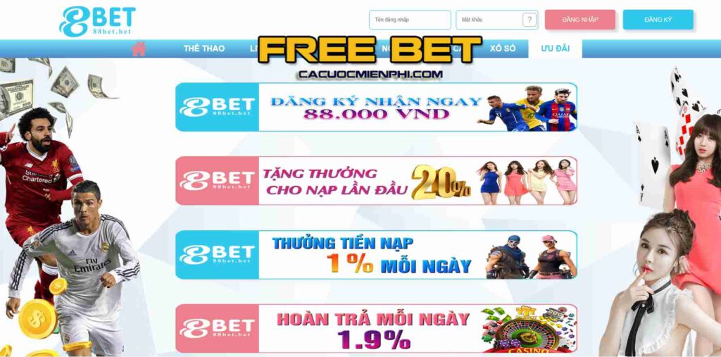 Câu hỏi thường gặp – Giải đáp các thắc mắc phổ biến của người dùng về Betvn - Betvn