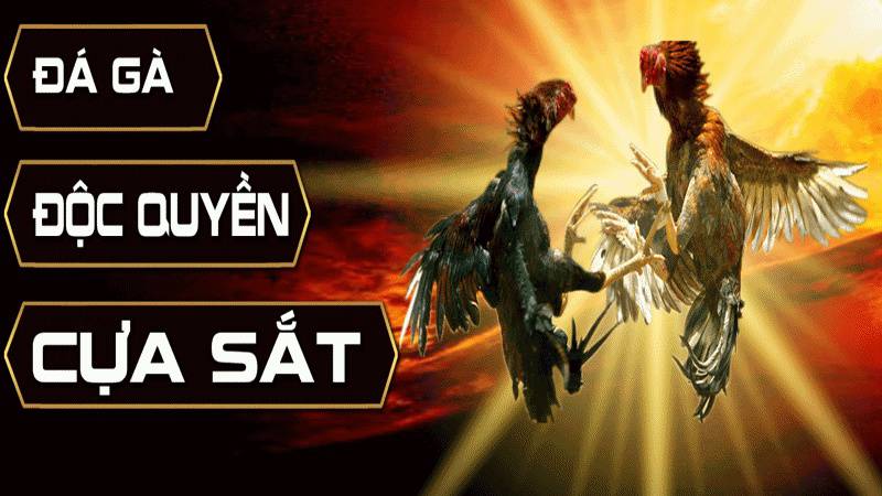 898Bet ra mắt dịch vụ - 898Bet