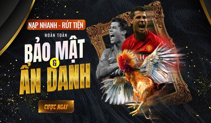Chức năng sau khi tải xuống ứng dụng Melbet - Melbet