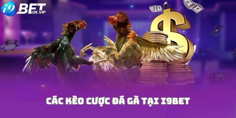 Không gian cá cược lý tưởng cấp độ Sbotop - Sbotop