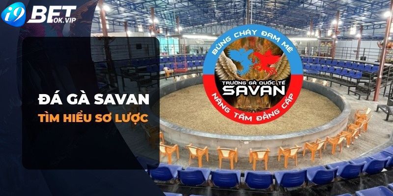 Nhận ngay phần thưởng chương trình quà tặng Kim88 50k chỉ với vài bước đơn giản - Kim88
