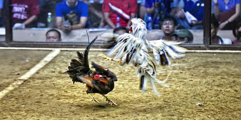 Trang web chính thức của trò chơi có xếp hạng tổng thể là Bigbet88 - Bigbet88