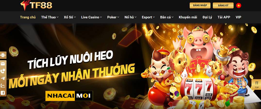 Câu lạc bộ VIP Oke88 – Nơi đẳng cấp dành cho "vua chúa" - Oke88
